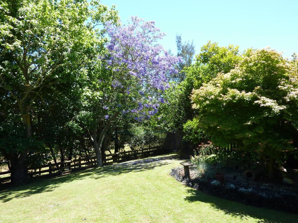 Thorold Country House Thames Εξωτερικό φωτογραφία